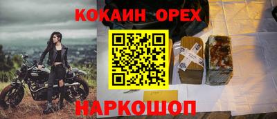 дживик Тара